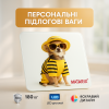 Ваги підлогові MATARIX MX-452 180 кг, Ваги підлогові для вимірювання маси тіла електронні, пес