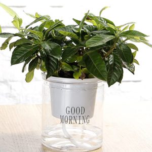 Кашпо OLens Good morning DL21022594 10х11.5 см Кашпо OLens Good morning DL21022594 10х11.5 см