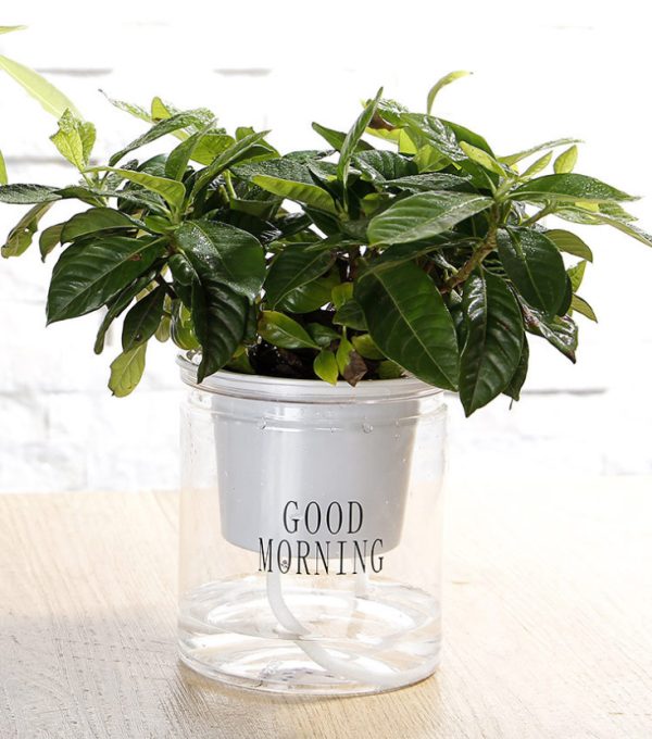 Кашпо OLens Good morning DL21022594 10х11.5 см Кашпо OLens Good morning DL21022594 10х11.5 см