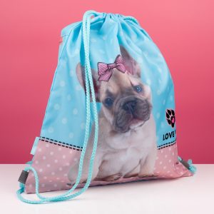 Сумка для взуття 1 Вересня SB-10 Dolly Dog 533486 40х35 см Сумка для взуття 1 Вересня SB-10 Dolly Dog 533486 40х35 см