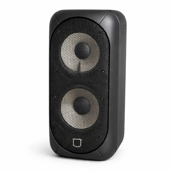 Портативна колонка Big Pro 800 із мікрофоном, Bluetooth 5.0, TWS, LED-підсвічуванням – 800 Вт Портативна колонка Big Pro 800 із мікрофоном, Bluetooth 5.0, TWS, LED-підсвічуванням – 800 Вт